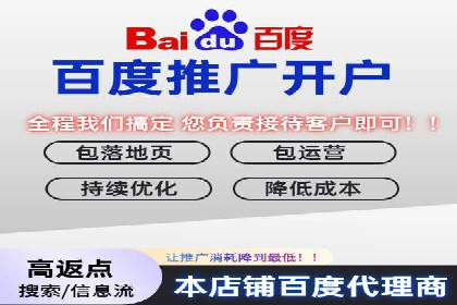 百度竞价赚钱的实战案例分析